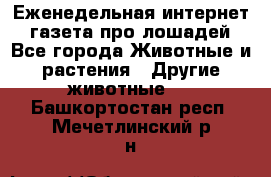 Еженедельная интернет - газета про лошадей - Все города Животные и растения » Другие животные   . Башкортостан респ.,Мечетлинский р-н